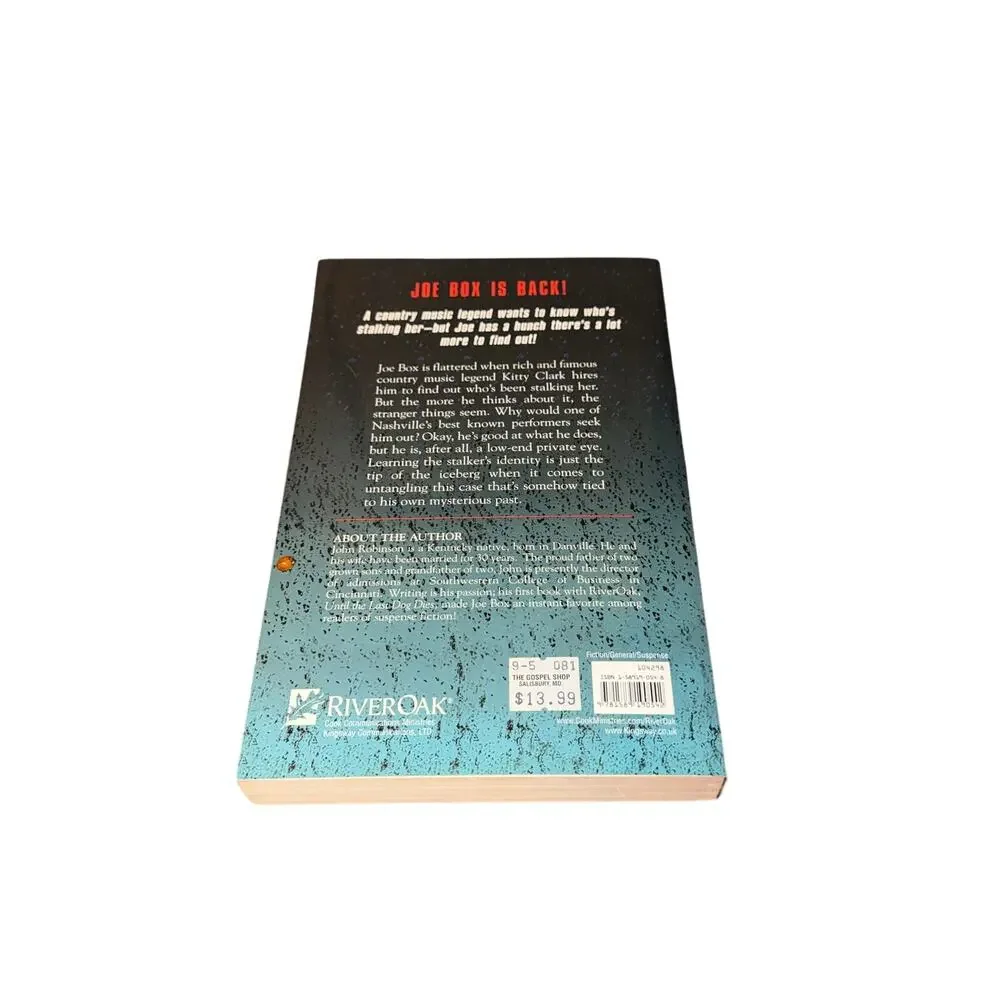 When Skylarks Fall Joe Box Mystery John Robinson Paperback Suspense Christian
